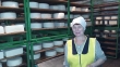 На молокозаводе в п. Первомайский возобновили производство сыра