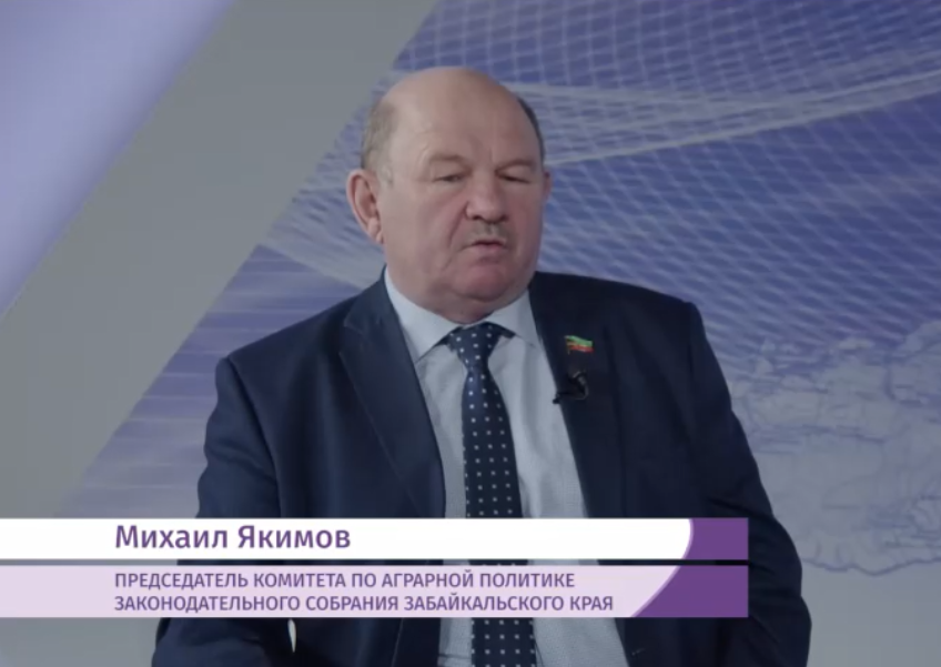 Михаил Якимов: Собакам Забайкалья могут назначить предельный срок содержания