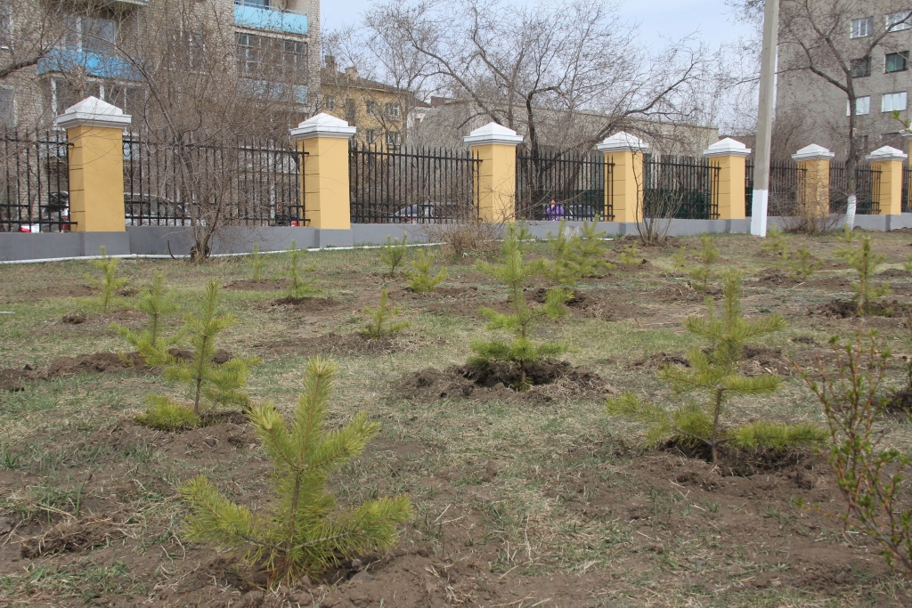Депутаты и члены Молодежного парламента посадили деревья в парке ОДОРА. Май 2015 года