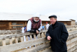 Логистический центр продажи сельхозпродукции и овцеводческие монокомплексы создадут в Забайкалье